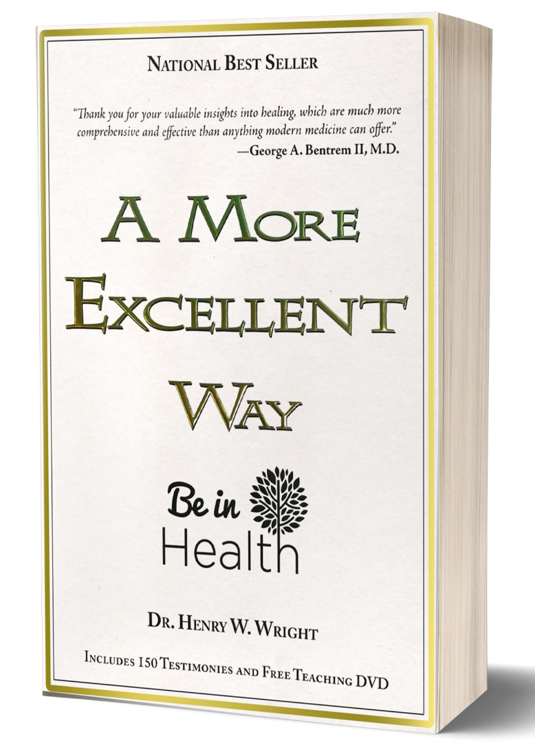 A More Excellent Way by Dr. Henry W. Wright