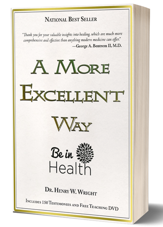 A More Excellent Way by Dr. Henry W. Wright