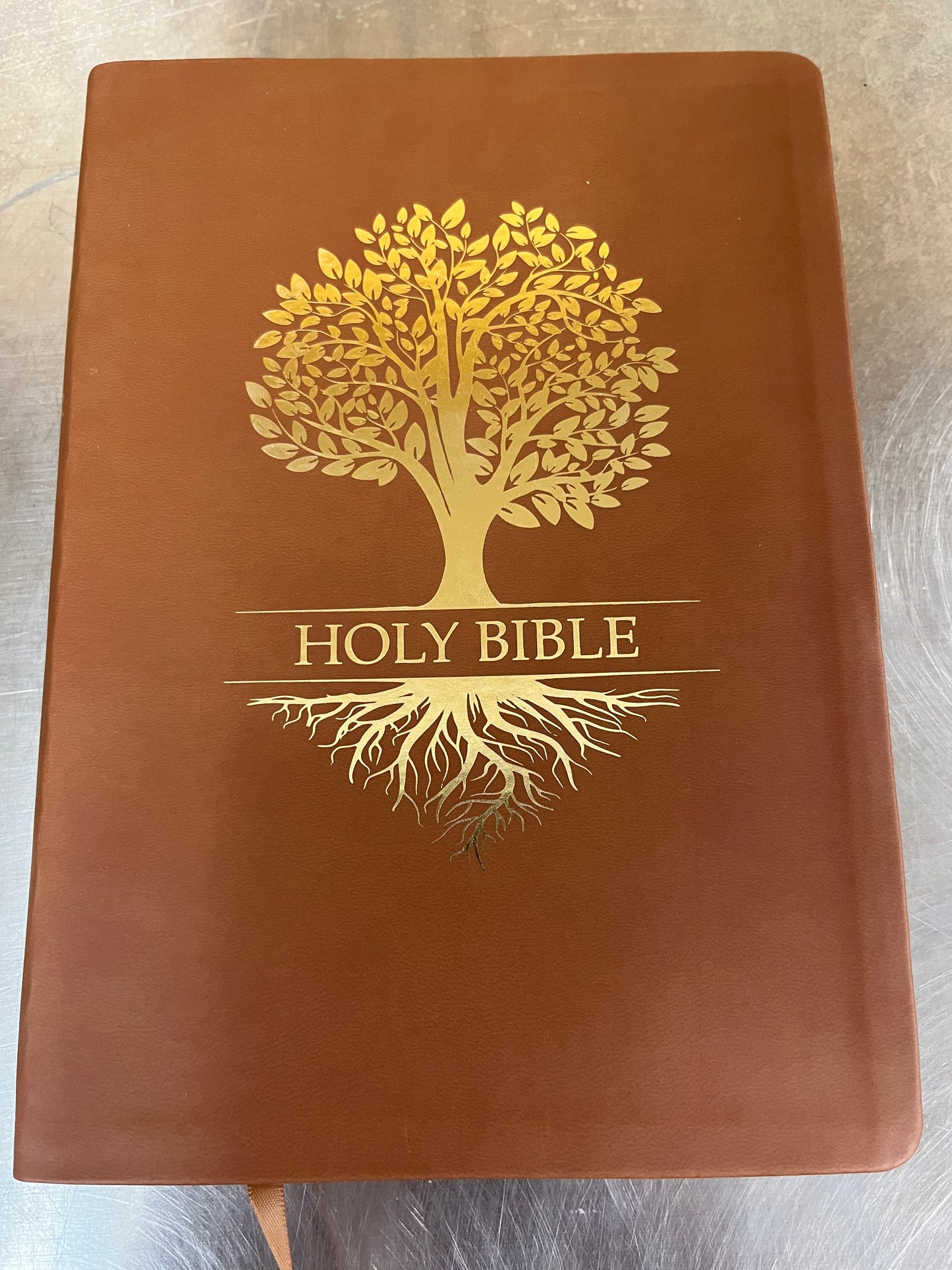 KJVER Bible